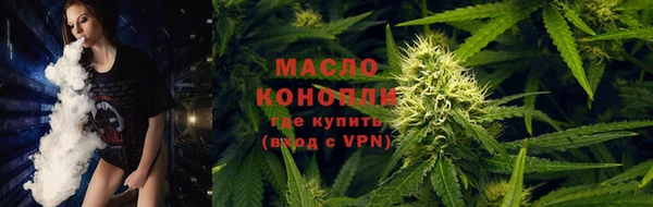 хмурый Арсеньев
