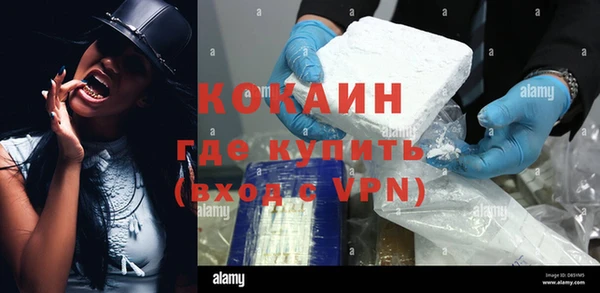 PSILOCYBIN Аркадак