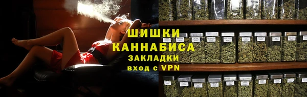 хмурый Арсеньев
