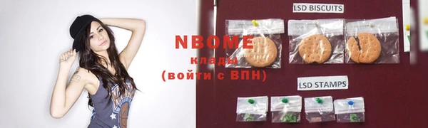 хмурый Арсеньев