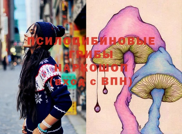 PSILOCYBIN Аркадак
